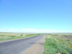image003