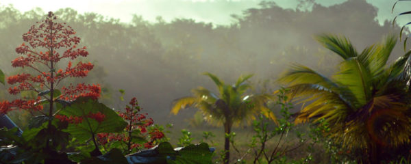 La Guyane est à visiter