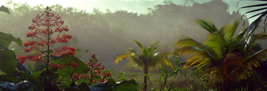 La Guyane est à visiter